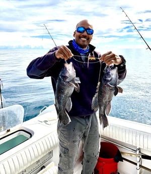 Black Seabass Fishing in Wrightsville Beach, North Carolina