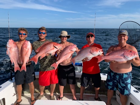 Red Snapper fishing in Biloxi, Mississippi