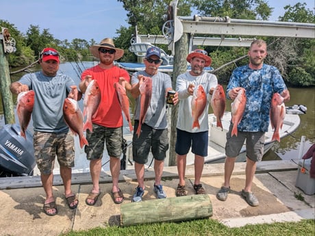 Red Snapper Fishing in Gulf Shores, Alabama