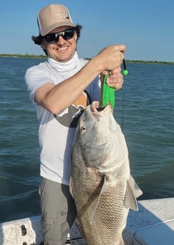 Black Drum fishing in Aransas Pass, Texas