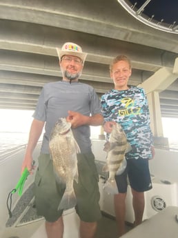 Black Drum fishing in Galveston, Texas