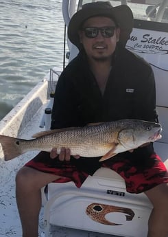 Redfish fishing in South Padre Island, Texas