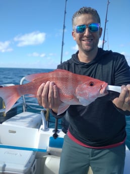 Red Snapper fishing in Clearwater, Florida