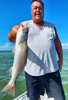 Speckled Trout / Spotted Seatrout fishing in Tavernier, Florida