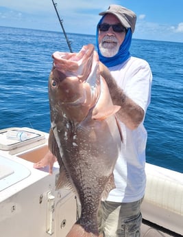 Red Grouper fishing in Clearwater, Florida