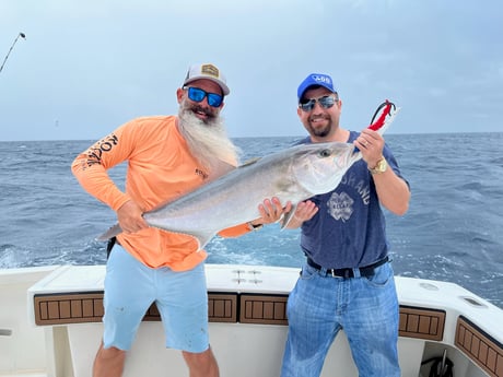 Goliath Grouper fishing in Clearwater, Florida