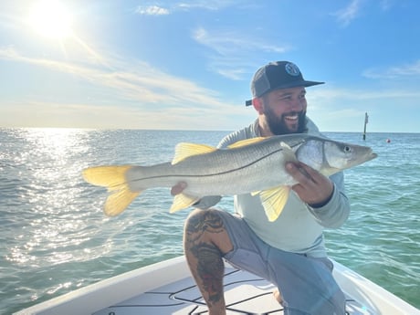 Snook fishing in Clearwater, Florida