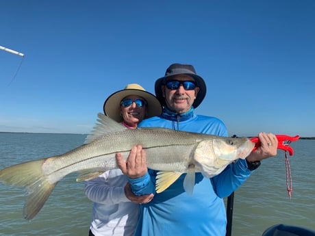 Snook fishing in Key Largo, Florida