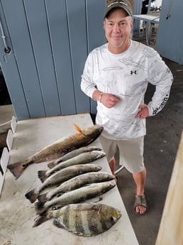 Redfish, Sheepshead, Speckled Trout / Spotted Seatrout fishing in Galveston, Texas