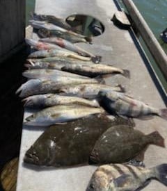 Black Drum, Flounder, Sheepshead, Speckled Trout / Spotted Seatrout Fishing in Corpus Christi, Texas