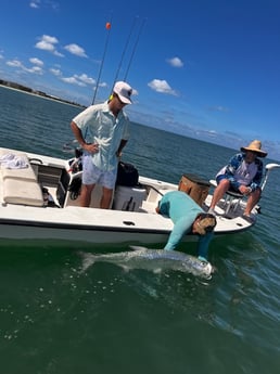 Tarpon fishing in Clearwater, Florida