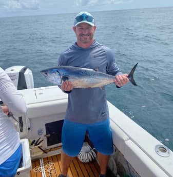 Little Tunny / False Albacore fishing in Riviera Beach, Florida