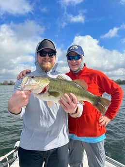 Largemouth Bass Fishing in Clearwater, Florida