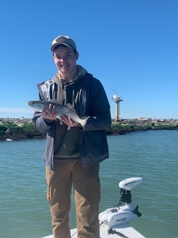 Speckled Trout Fishing in Galveston, Texas