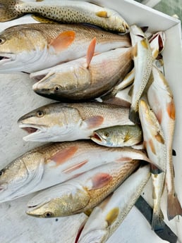 Fishing in South Padre Island, Texas