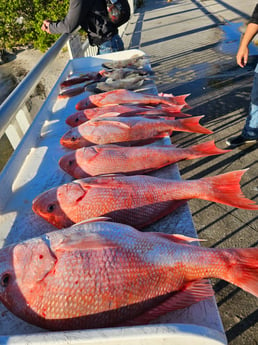 Fishing in Clearwater, Florida