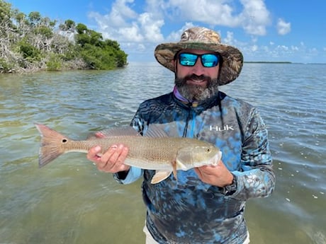 Redfish Fishing in Islamorada, Florida