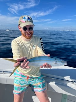 Yellowtail Amberjack Fishing in Jupiter, Florida