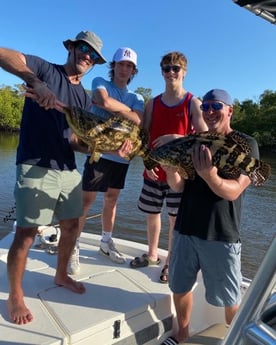 Sheepshead fishing in Naples, Florida