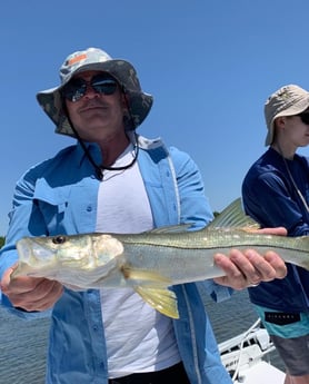 Largemouth Bass fishing in Clearwater, Florida