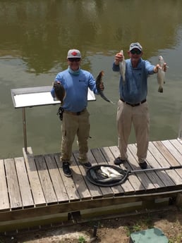 Speckled Trout / Spotted Seatrout fishing in South Padre Island, Texas