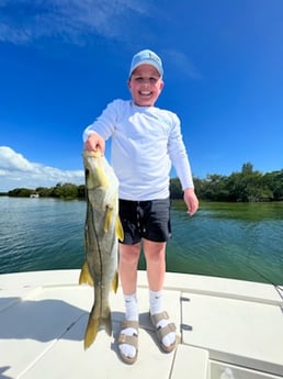 Snook fishing in Fort Myers, Florida