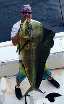 Mahi Mahi / Dorado fishing in Key West, Florida