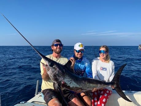 Swordfish Fishing in Pompano Beach, Florida