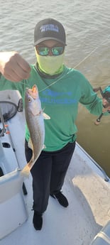 Speckled Trout / Spotted Seatrout fishing in Galveston, Texas