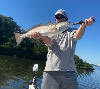 Redfish Fishing in St. Petersburg, Florida