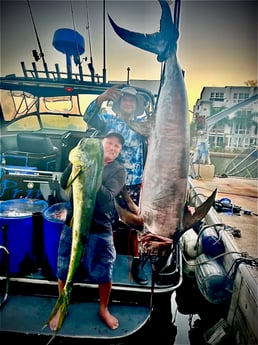 Mahi Mahi / Dorado, Swordfish Fishing in Miami, Florida