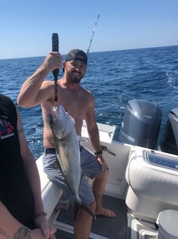 Gag Grouper fishing in Destin, Florida