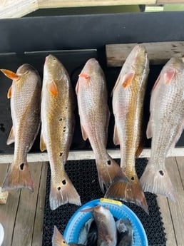 Fishing in Port O&#039;Connor, Texas