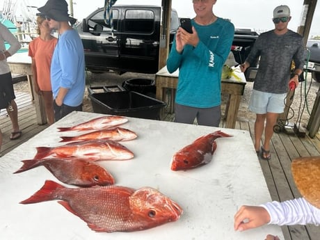 Red Snapper Fishing in Pensacola, Florida