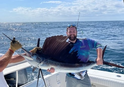 Sailfish fishing in Port Orange, Florida