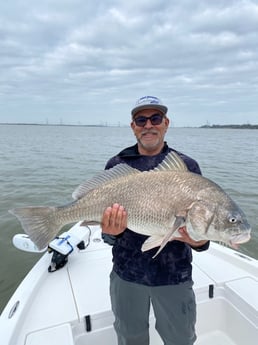 Black Drum Fishing in Galveston, Texas