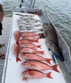 Red Snapper fishing in Santa Rosa Beach, Florida