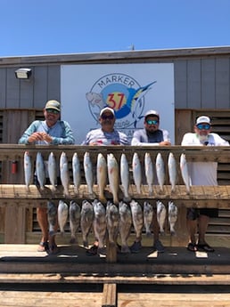 Black Drum, Redfish, Speckled Trout / Spotted Seatrout fishing in Corpus Christi, Texas