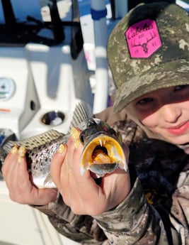 Speckled Trout Fishing in Fort Myers, Florida