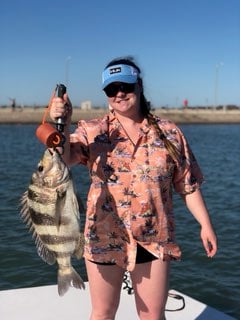 Sheepshead fishing in Corpus Christi, Texas