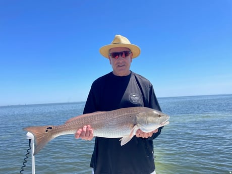 Redfish fishing in St. Petersburg, Florida