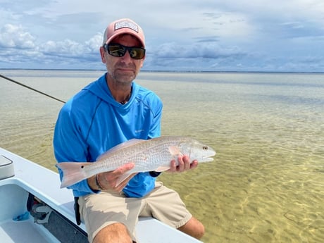 Redfish fishing in Tallahassee, Florida