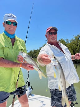 Snook fishing in Tavernier, Florida