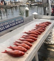 Fishing in Destin, Florida