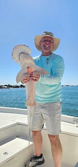 Bonnethead Shark Fishing in Mount Pleasant, South Carolina