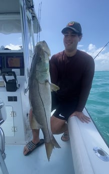 Snook fishing in Jupiter, Florida