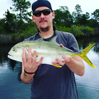 Jack Crevalle fishing in Clearwater, Florida