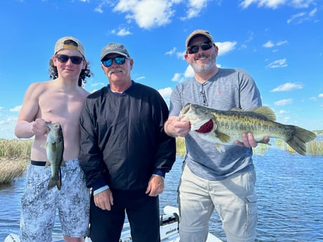 Largemouth Bass Fishing in Clearwater, Florida