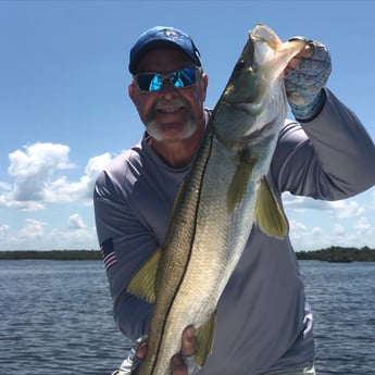 Snook fishing in Hudson, Florida