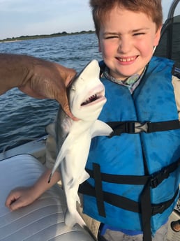 Blacktip Shark fishing in Galveston, Texas